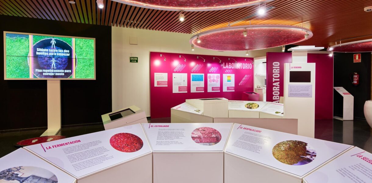 Museo Torre del Vino de Socuéllamos
