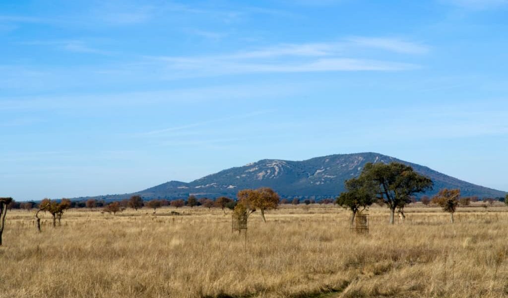 contacto-turismo-provincia-ciudad-real-cabañeros