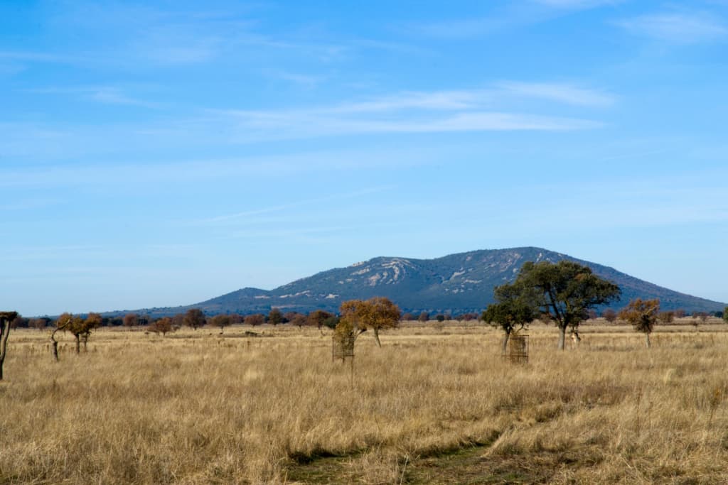 contacto-turismo-provincia-ciudad-real-cabañeros