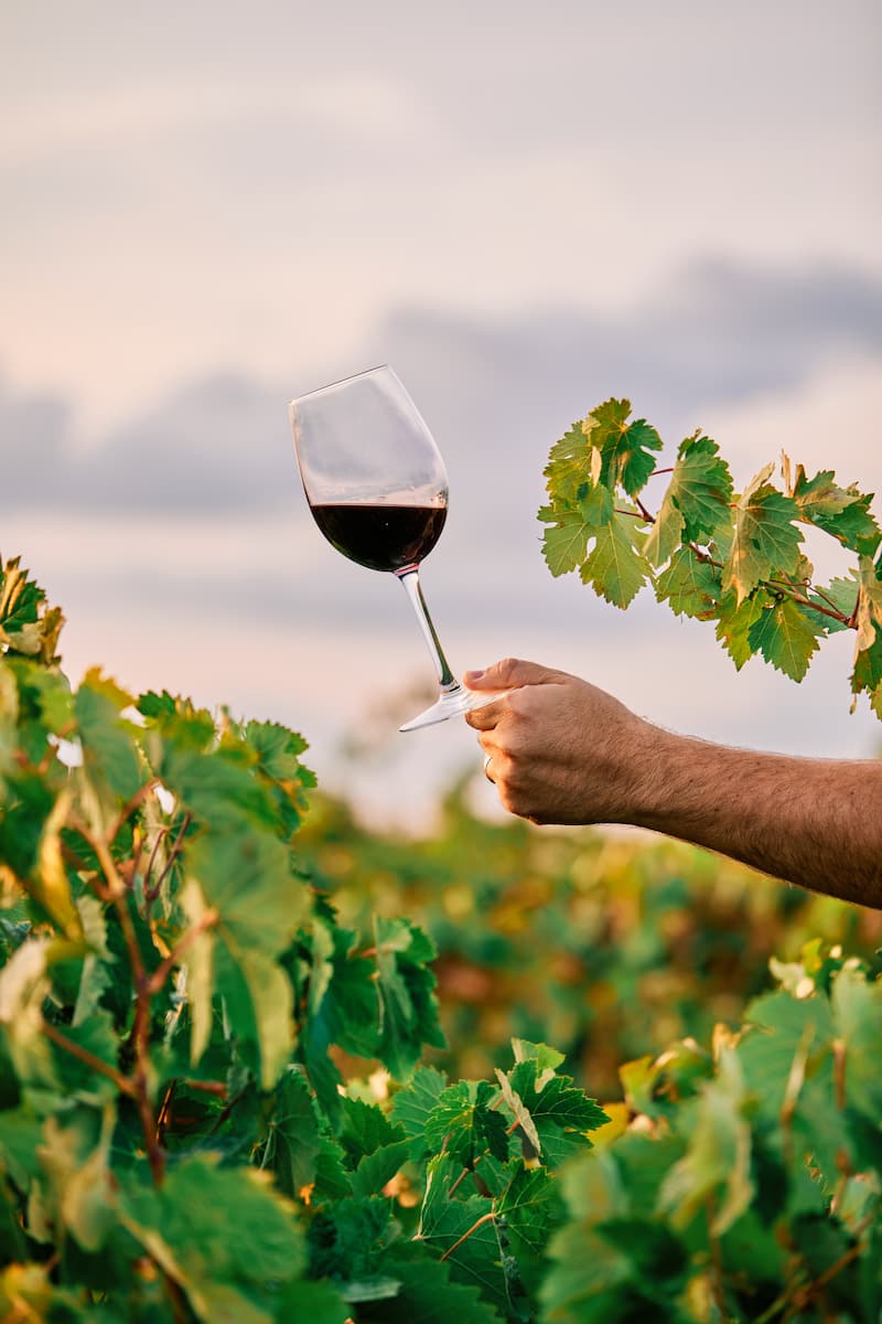 pueblo-ciudad-rea-vino-copa