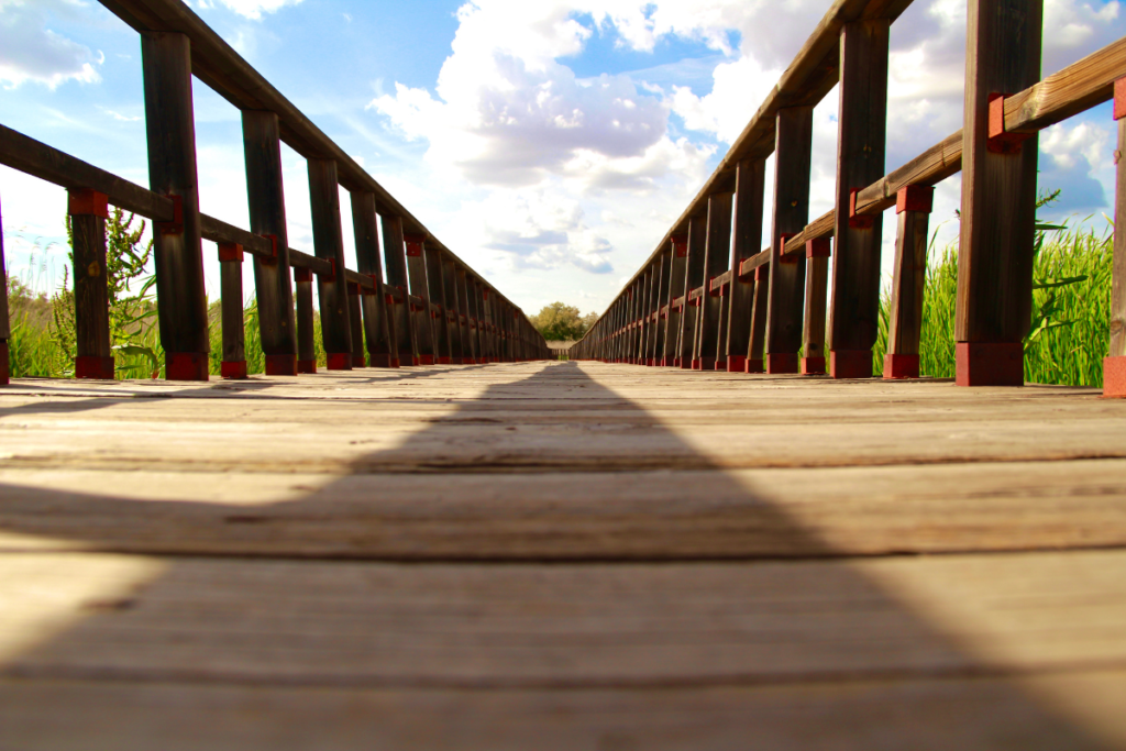 Las Tablas de Daimiel son uno de los parajes más visitados en la provincia de Ciudad Real