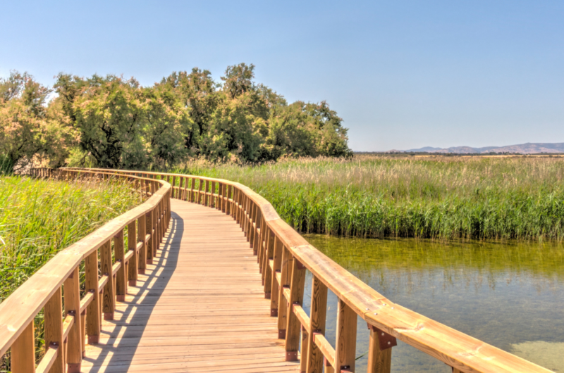 El paisaje de las Tablas de Daimiel es envidiable