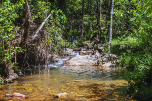 Las Lastras de Fuencaliente presenta un paraje natural cautivador